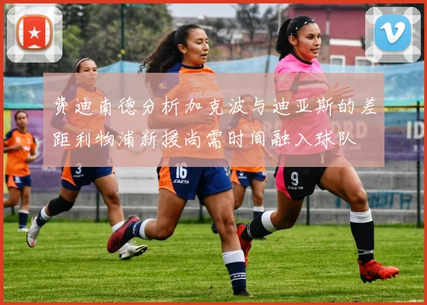 费迪南德分析加克波与迪亚斯的差距利物浦新援尚需时间融入球队