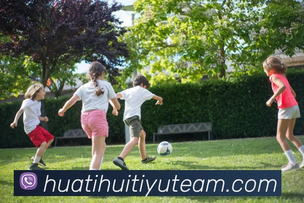 App Interface Preview